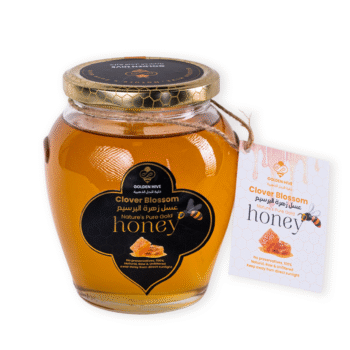 🟡Clover Honey